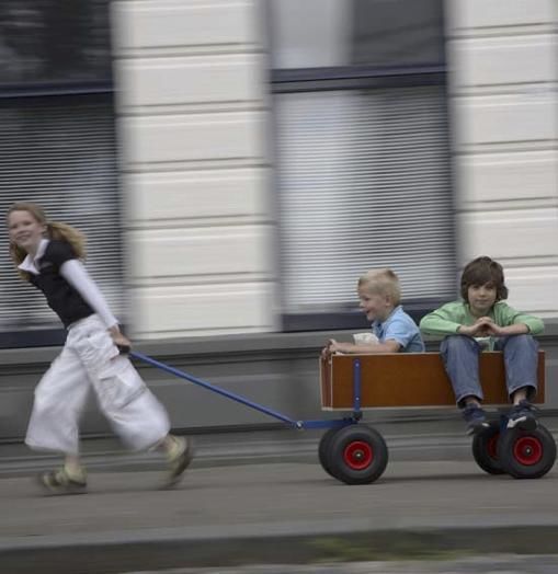 BERG BEACH WAGON