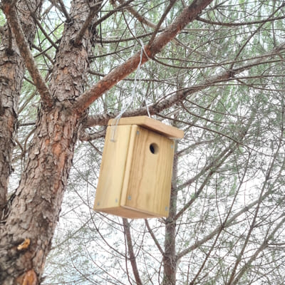 caseta niu d'ocells feta de fusta tractada per a penjar a un arbre 