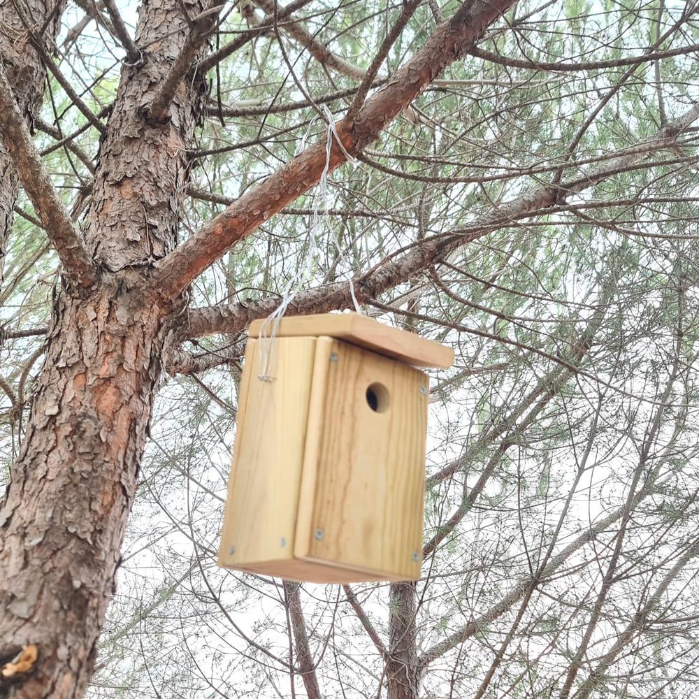 Caixa de ninhos de aves feita de madeira tratada para uso exterior.