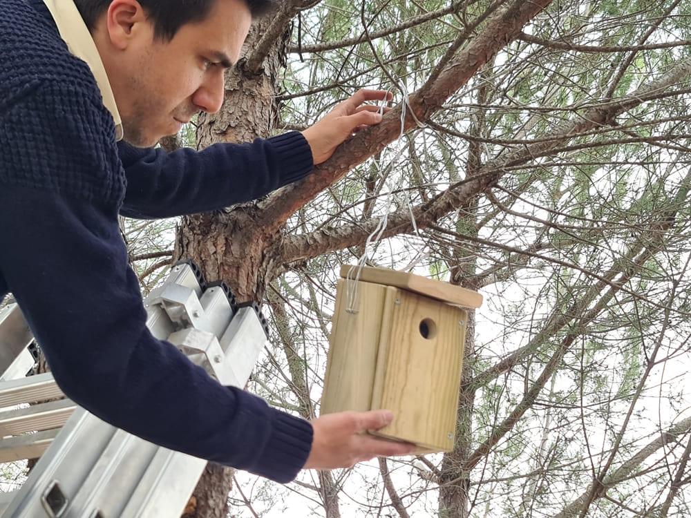 Caixa de ninhos de aves feita de madeira tratada para uso exterior.