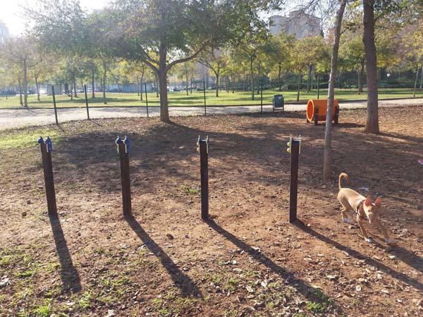 Juego canino agility slalom