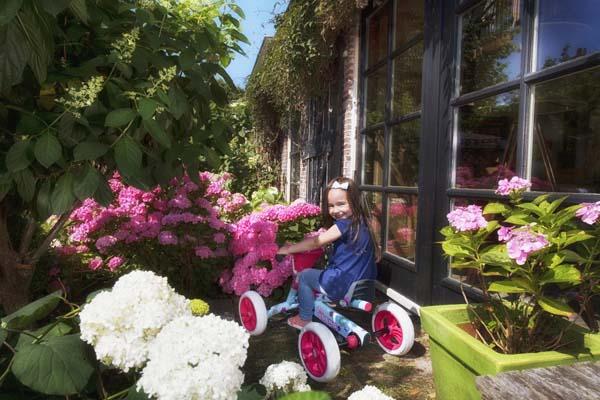 Coches de pedales BERG BUZZY BLOOM