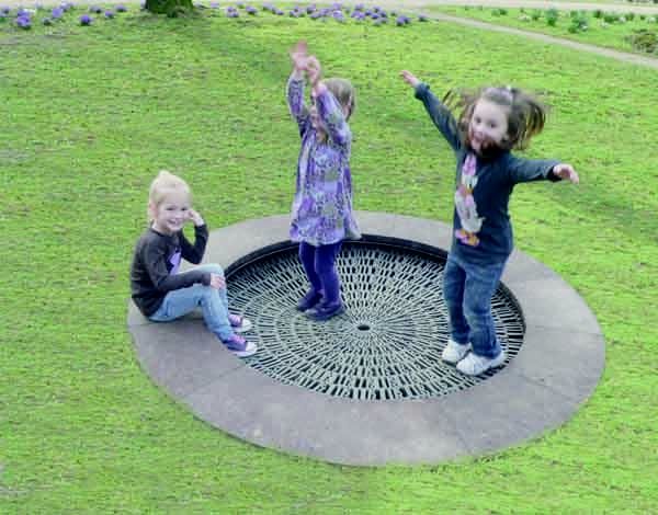 Cama elástica Circus