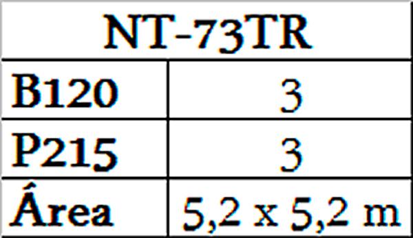 Calistenia Workout Triangulo NT73TR-2