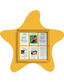 Vitrinas exterior estrella de mar