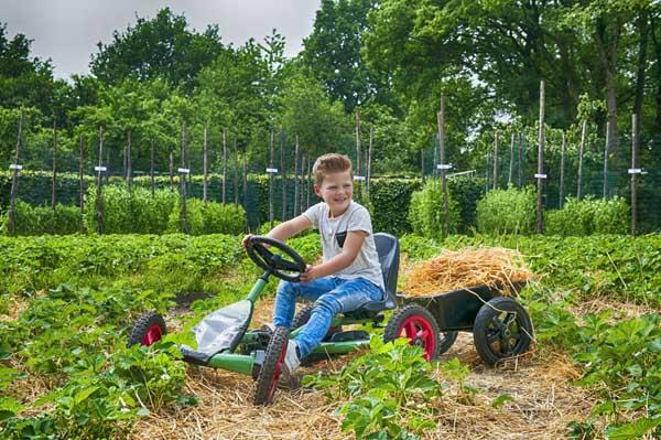 Coche de pedales Berg Buddy Fendt